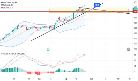 株式会社ラクス 株価が熱い！その背景とは？